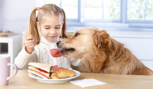 girl-feeding-dog