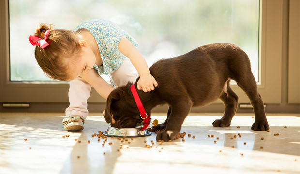 little-girl-with-puppy