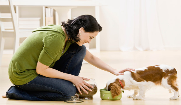 woman-feeding-a-dog