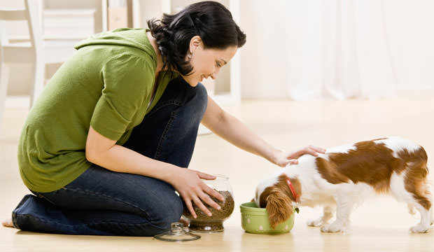 Trick-Your-Dog-Into-Eating-Veggies-cover