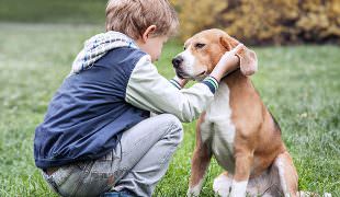 children and dogs